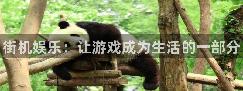 优游国际官网首页