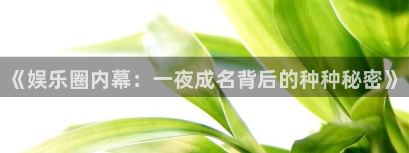 优游国际官网下载