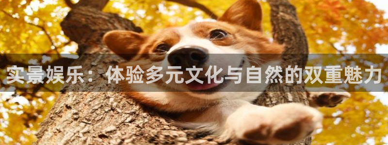 优游国际官网下载
